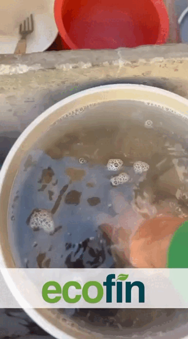 video ecofin aplica.gif